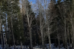 Schikurs-2025-006-20250119_104712