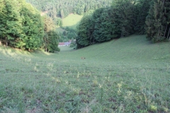 stafflauf-extrem-053-img_2282