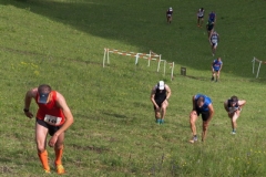 stafflauf2016-0167