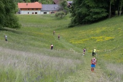 Stafflauf-2025-0030-5P6A1395