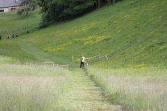 Stafflauf-2025-0092-IMG_7695