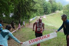 Stafflauf-2026-0263-P1010462